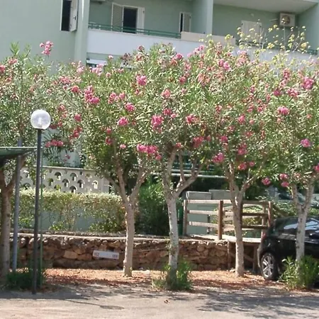 Baia House 88